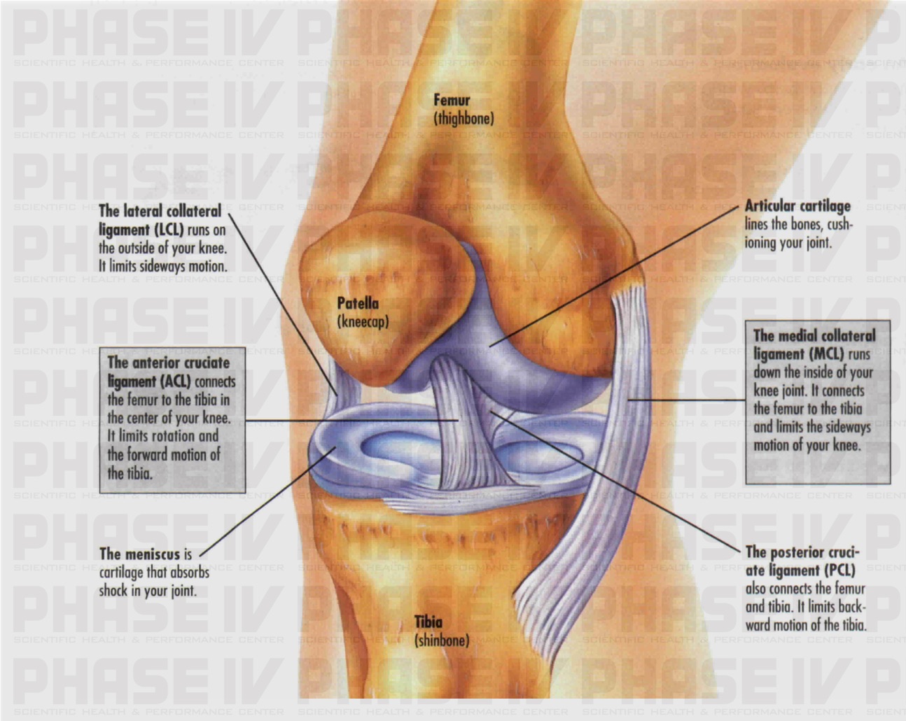 injury below knee cap