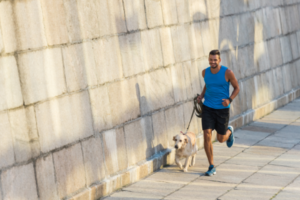 How to Train Your Dog to Run With You: Tips for Running With Dogs